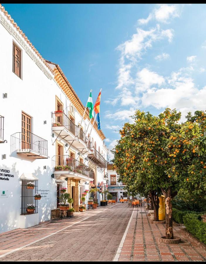 Apartamento Plaza De Los Naranjos マルベーリャ エクステリア 写真