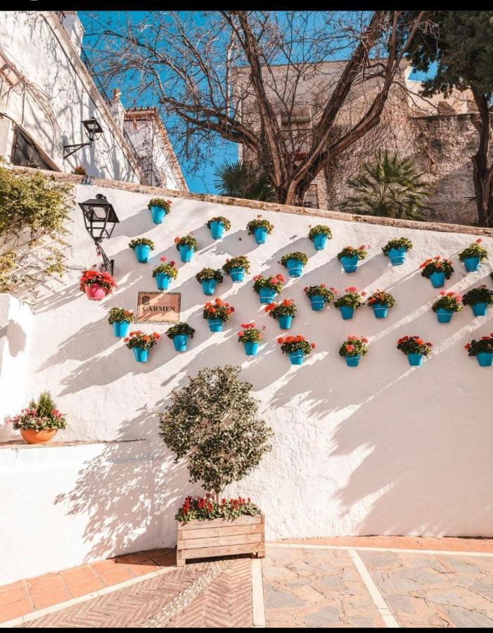 Apartamento Plaza De Los Naranjos マルベーリャ エクステリア 写真